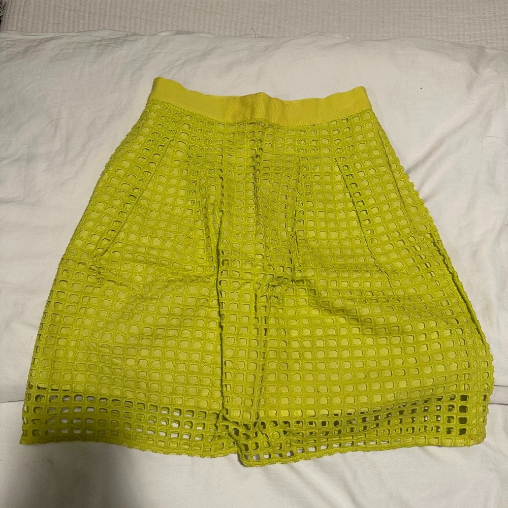 Ann Taylor Loft A-Line Skirt